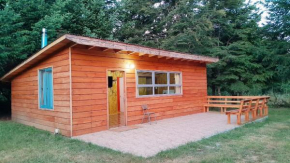 Cabaña entre Villarrica y Lican-Ray